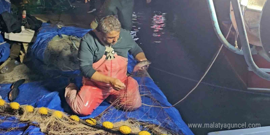 1 kilonun üzerindeki palamutlar 70 TL’den satıldı: Vatandaş balığa doydu