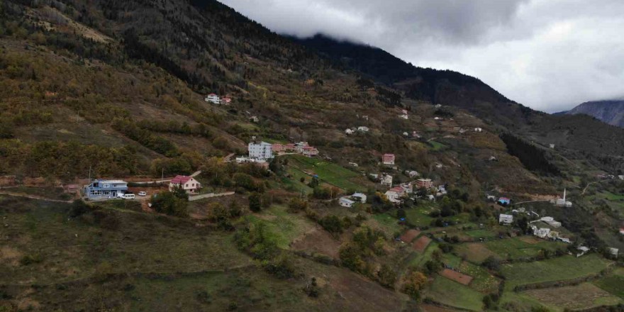 100 yıllık ekşi maya ile üretilen Araköy Ekmeği sofraları süslüyor