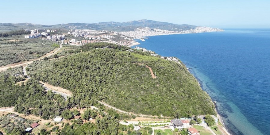 116 dönüm deniz manzaralı ormana Mudanya Belediyesi talip oldu