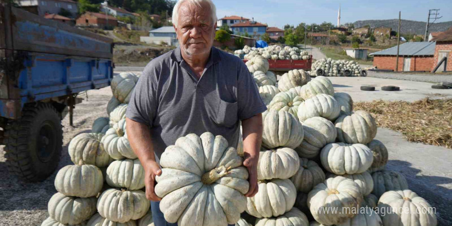 25 yıl önce deneme amaçlı ektiler, şimdi 40 şehre satıyorlar