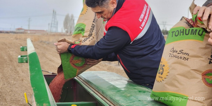 300 ton buğday ekimi gerçekleştirildi