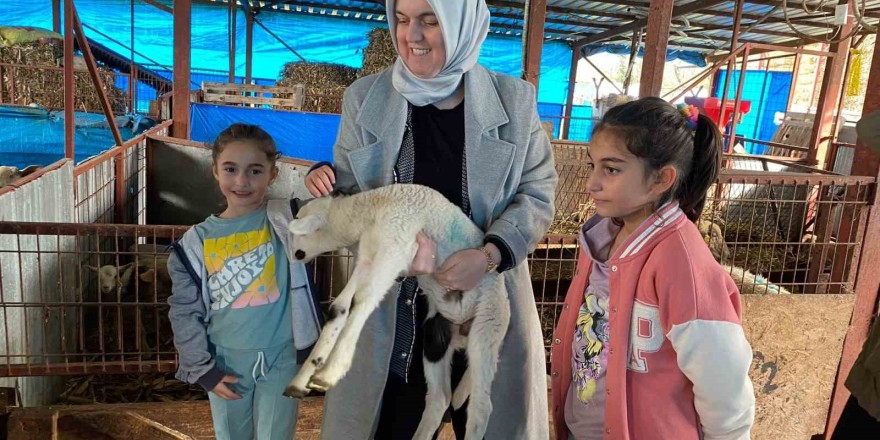 37 küçükbaş ile başladı şimdi 135 ulaştı