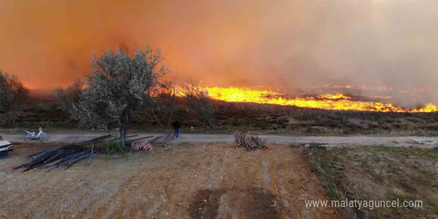 400 dönümlük mısır tarlası ve merada korkutan yangın