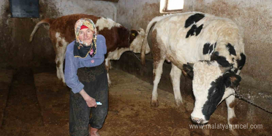 79 yaşındaki Dilber ninenin inanılmaz hayat mücadelesi görenlere maşallah dedirtiyor