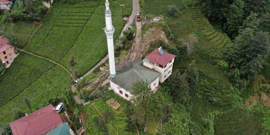 800 yıllık camiyi kurtarmak için çevresindeki ağaçları kestiler