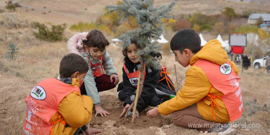 '81 İlde 81 Orman' projesinde Erzincan’da 50 bin fidan toprakla buluştu