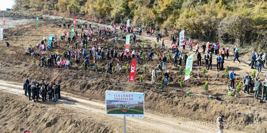 '81 İlde 81 Orman' projesinin ilk fidanları toprakla buluştu