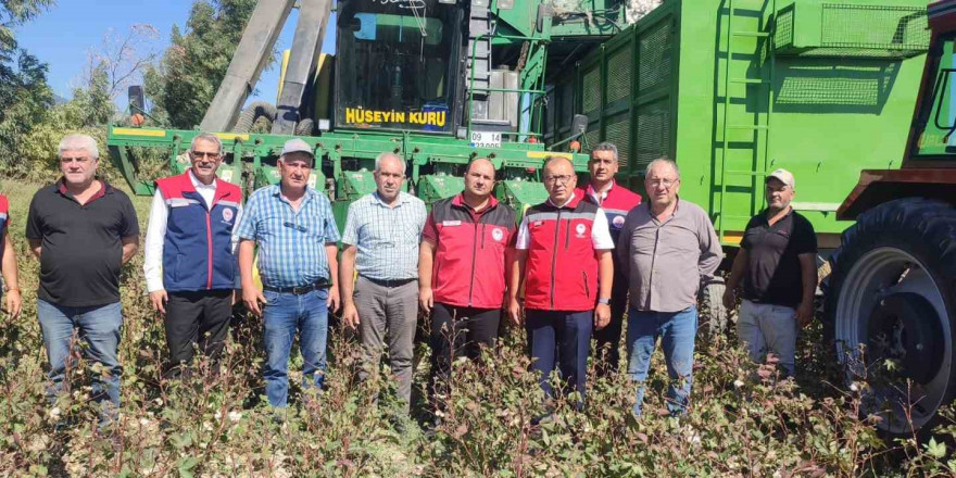 AB tescilli Söke Pamuğu hasadı sürüyor