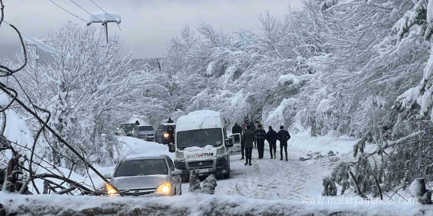 Abant yoluna ağaç devrildi, tatilciler yolda kaldı