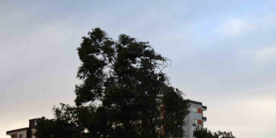 Adana’da fırtına nedeniyle 50 iş yerinin tabelası zarar gördü