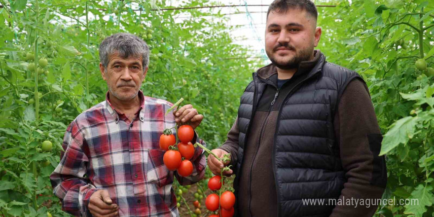 Adana’da mahallede 400 metrekareyle başlayan seracılık 30 dönüme ulaştı