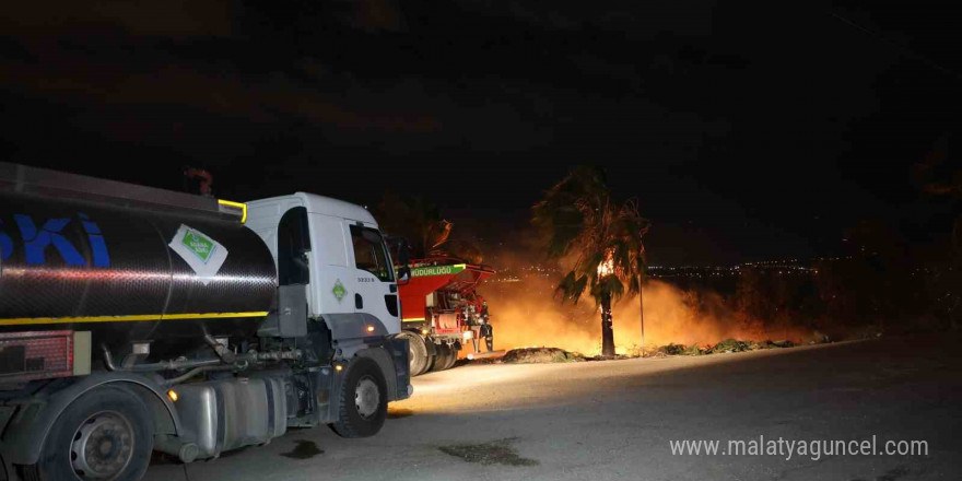 Adana’da ormanlık alanda yangın