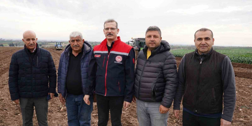 Adana’da turfanda patates toprakla buluştu