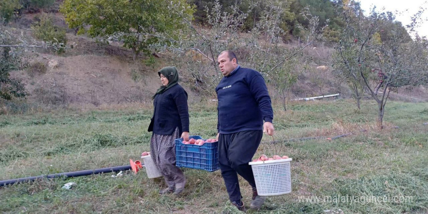 Adana’da zirveye kar yağdı, elma hasadı erken yapıldı