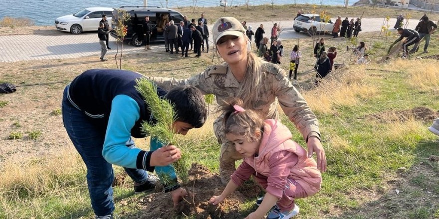 Adilcevaz’da bin 500 fidan toprakla buluştu