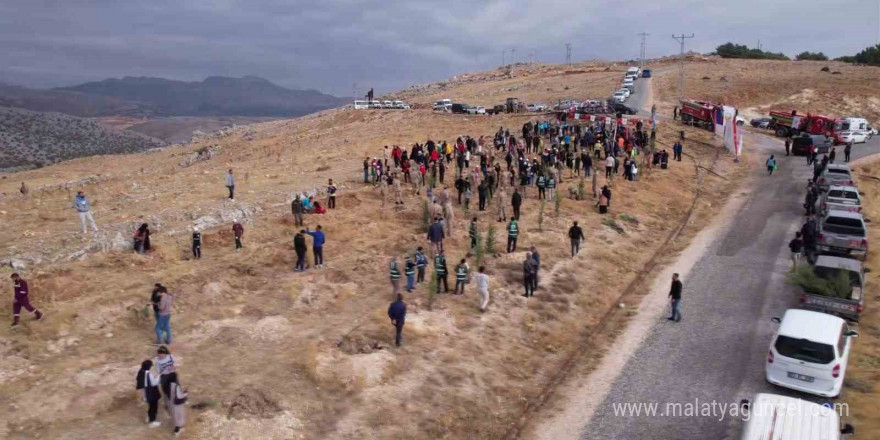 Adıyaman’da 11 bin fidan toprakla buluştu