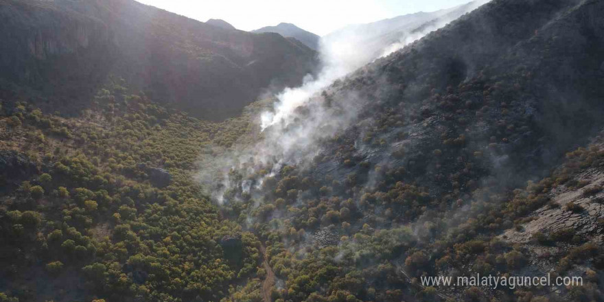 Adıyaman’da 2 gündür süren orman yangını devam ediyor