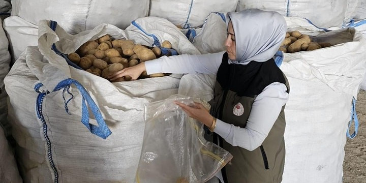 Afyonkarahisar’da Tunus’a 132 ton patates ihracatı yapıldı