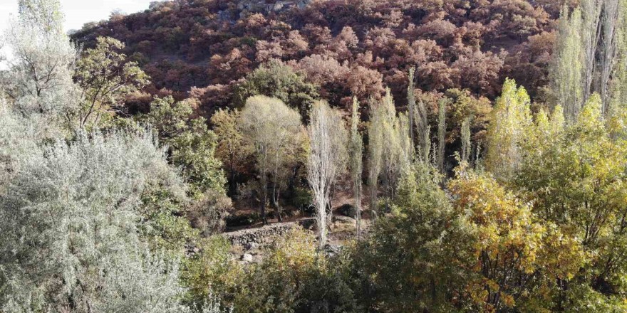 Afyonkarahisar’daki sonbahar manzaraları dron ile havadan görüntülendi