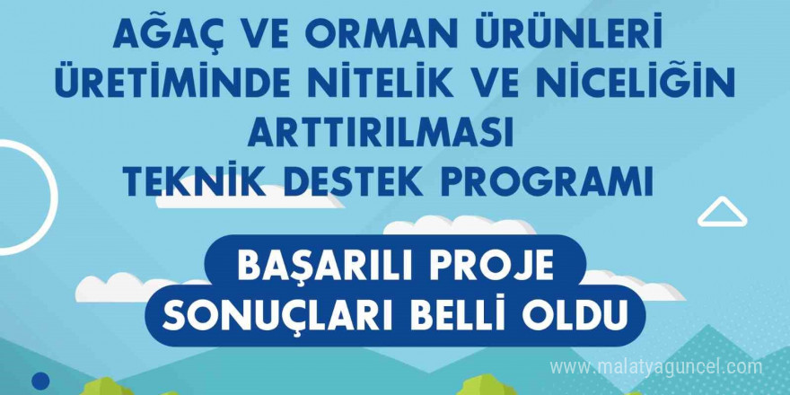 Ağaç ve Orman Ürünleri Teknik Destek Programı’nın başarılı projeleri belli oldu