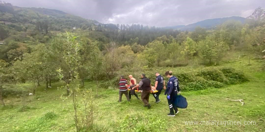 Ağaçtan düşen vatandaş 3 saat süren çaba ile hastaneye ulaştırılabildi