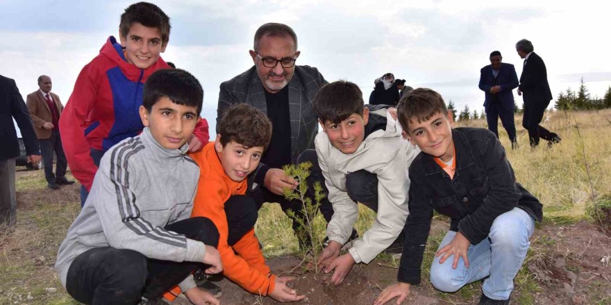 Ahlat’ta çam fidanları toprakla buluştu