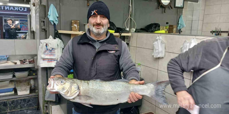 Akçakoca’da balıkçıların ağları doldu, 9 kiloluk levrek yakalandı