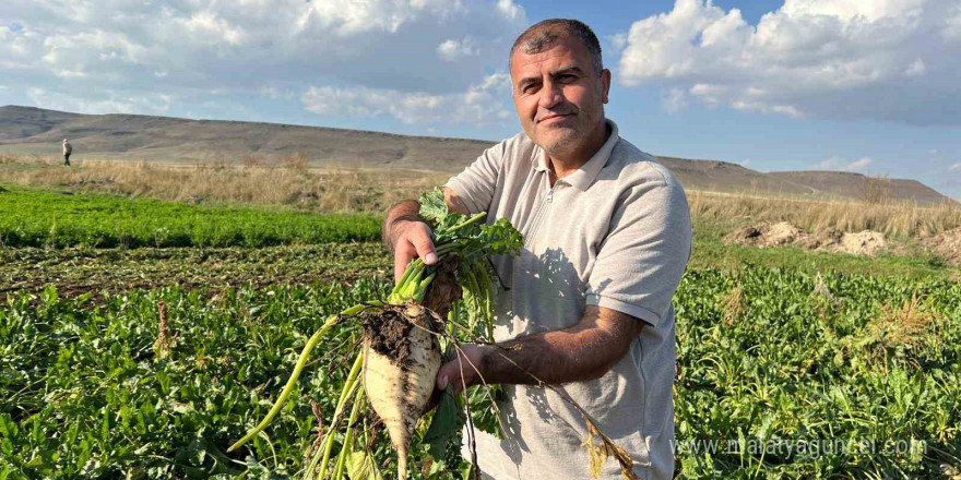 Akyaka’da pancar hasadı başladı