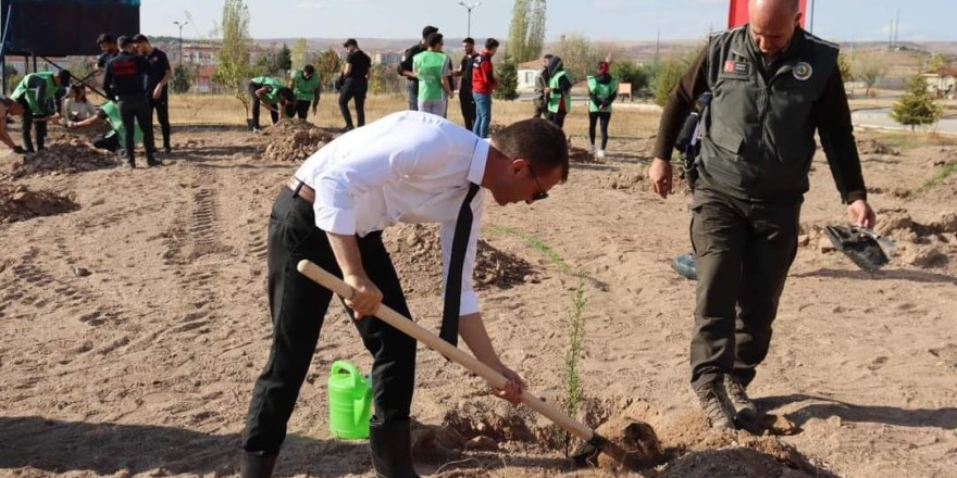 Alaca’da fidan dikim etkinliği düzenlendi