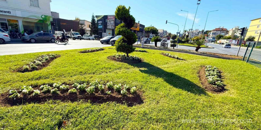 Alanya belediyesi mevsimlik çiçek dikimlerine başladı