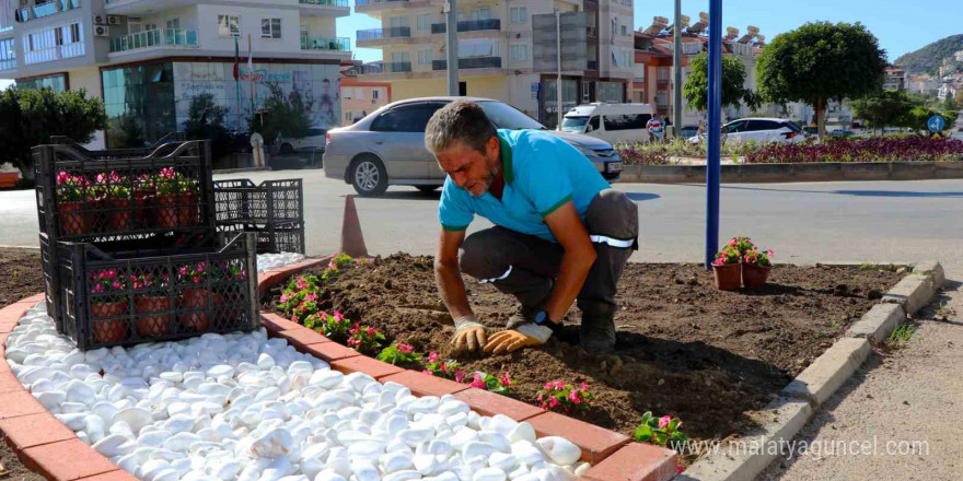 Alanya belediyesi mevsimlik çiçek dikimlerine başladı