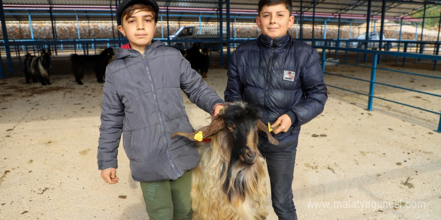 Alanya kurban pazarı açıldı