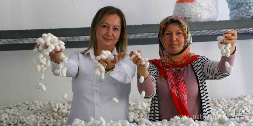 Alanya Sapadere İpek Evi’nde eğitim kursları başladı