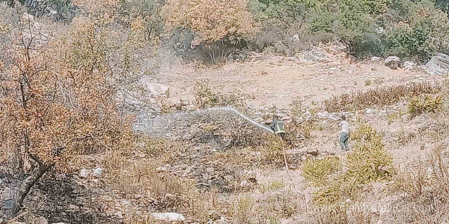 Alanya’da merada çıkan yangın kontrol altına alındı