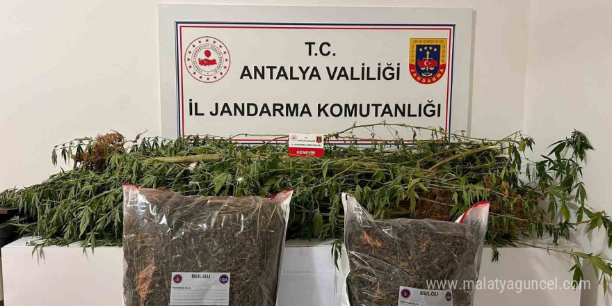 Alanya’da narkotik operasyonları