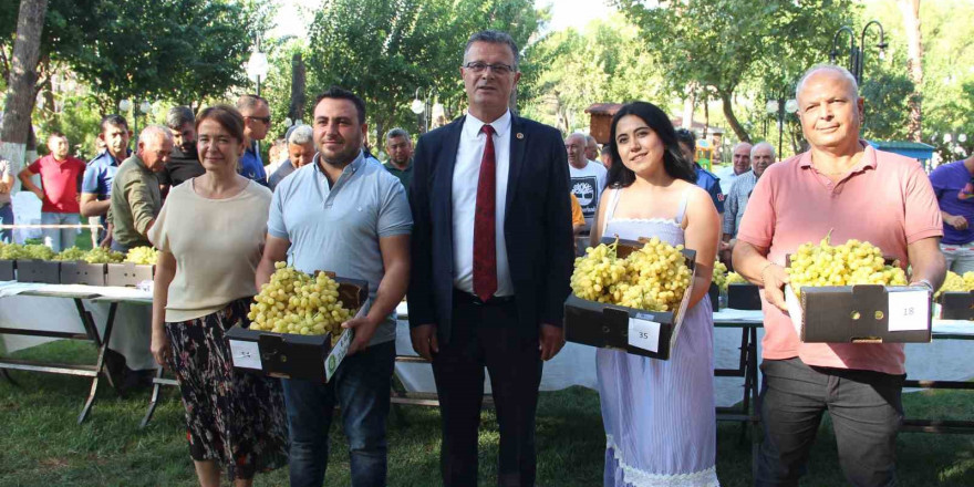 Alaşehir’in en güzel üzümü seçildi