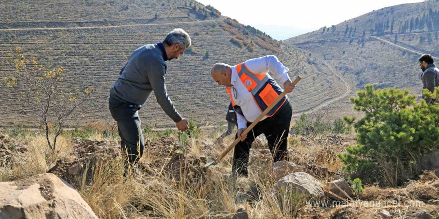 Ali Dağın zirvesine bin 111 fidan