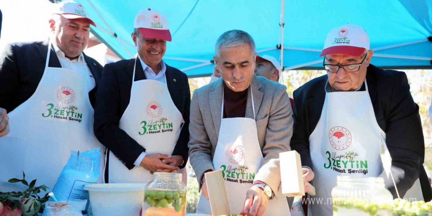 Aliağa’da '3. Zeytin Hasat Şenliği' düzenlendi