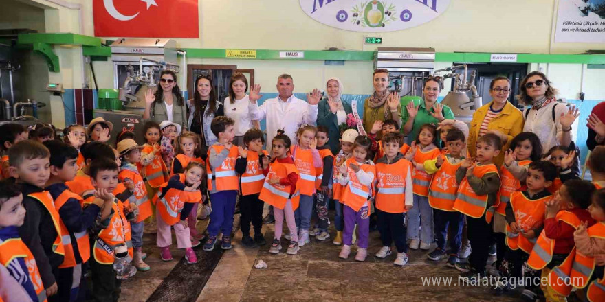 Aliağalı minik öğrenciler Şakran’da zeytin hasadı yaptı