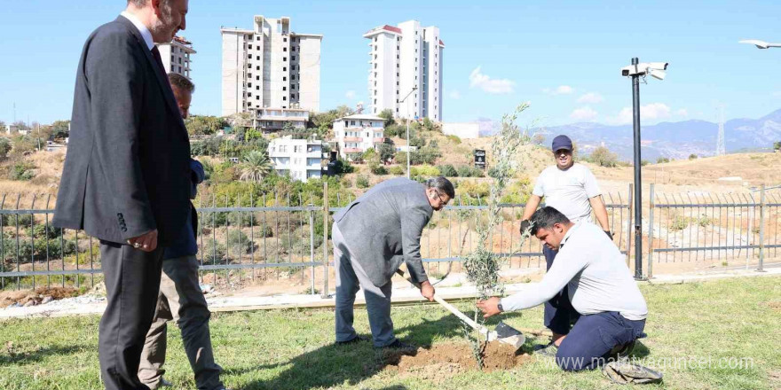 ALKÜ’de zeytin ağacı dikimi yapıldı