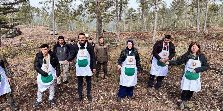 Altıntaş ve Dumlupınar Kaymakamları karaçam tohumu ekimi yaptı