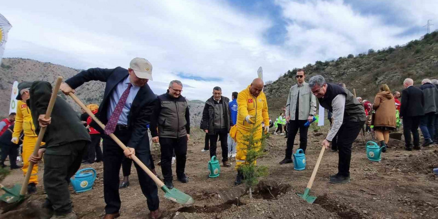 Amasya Orman Bölge Müdürü Özer: “Türkiye en çok ağaçlandırmada Avrupa’da 1. sırada”