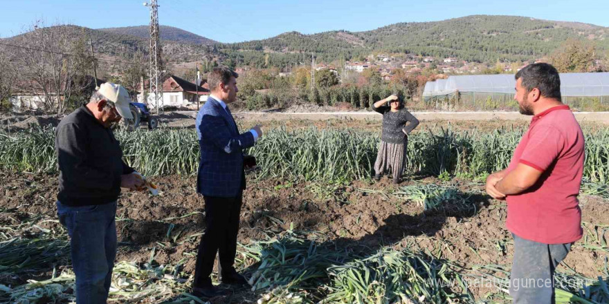 Amasya Valisi Bakan, Yeşilırmak kıyısına dökülen soğan ve patlıcanlarla ilgili konuştu: 