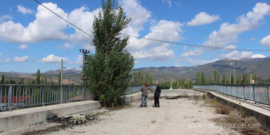 Amasya’da 16 yıldır tamamlanamayan üstgeçitte ağaçlar bitti