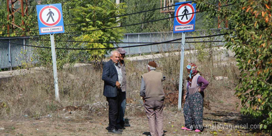 Amasya’da 16 yıldır tamamlanamayan üstgeçitte ağaçlar bitti