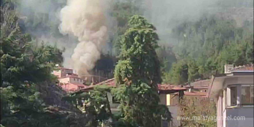 Amasya’da ormana bitişik 3 ev yangında kül oldu