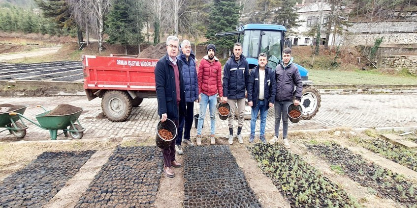 Amasya’da ormancılık faaliyetlerine 152 milyon TL’den fazla yatırım yapıldı