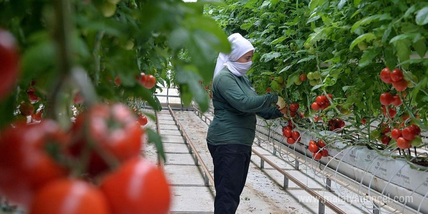 Anadolu coğrafyasının 'Beyaz Altını' jeotermal