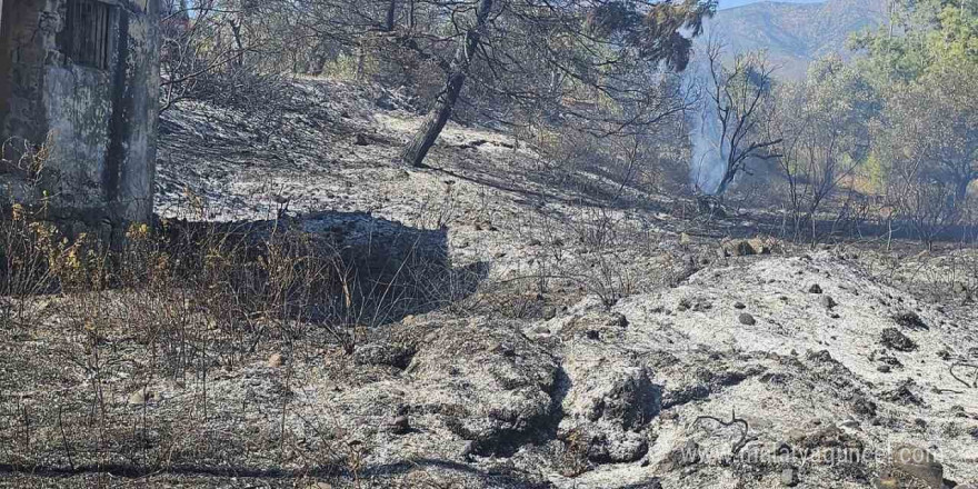 Antakya’da bahçe yangını