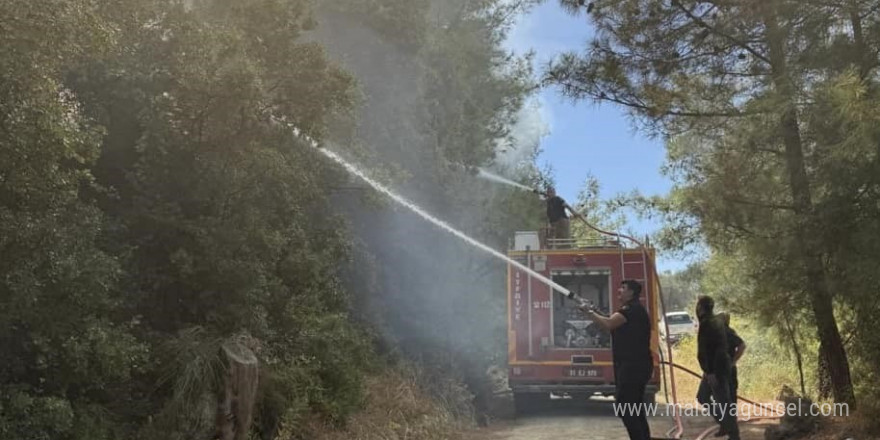 Antakya’da orman yangını kısa sürede söndürüldü